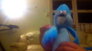 &quot;Hoots Funky Owl&quot; Fan Video