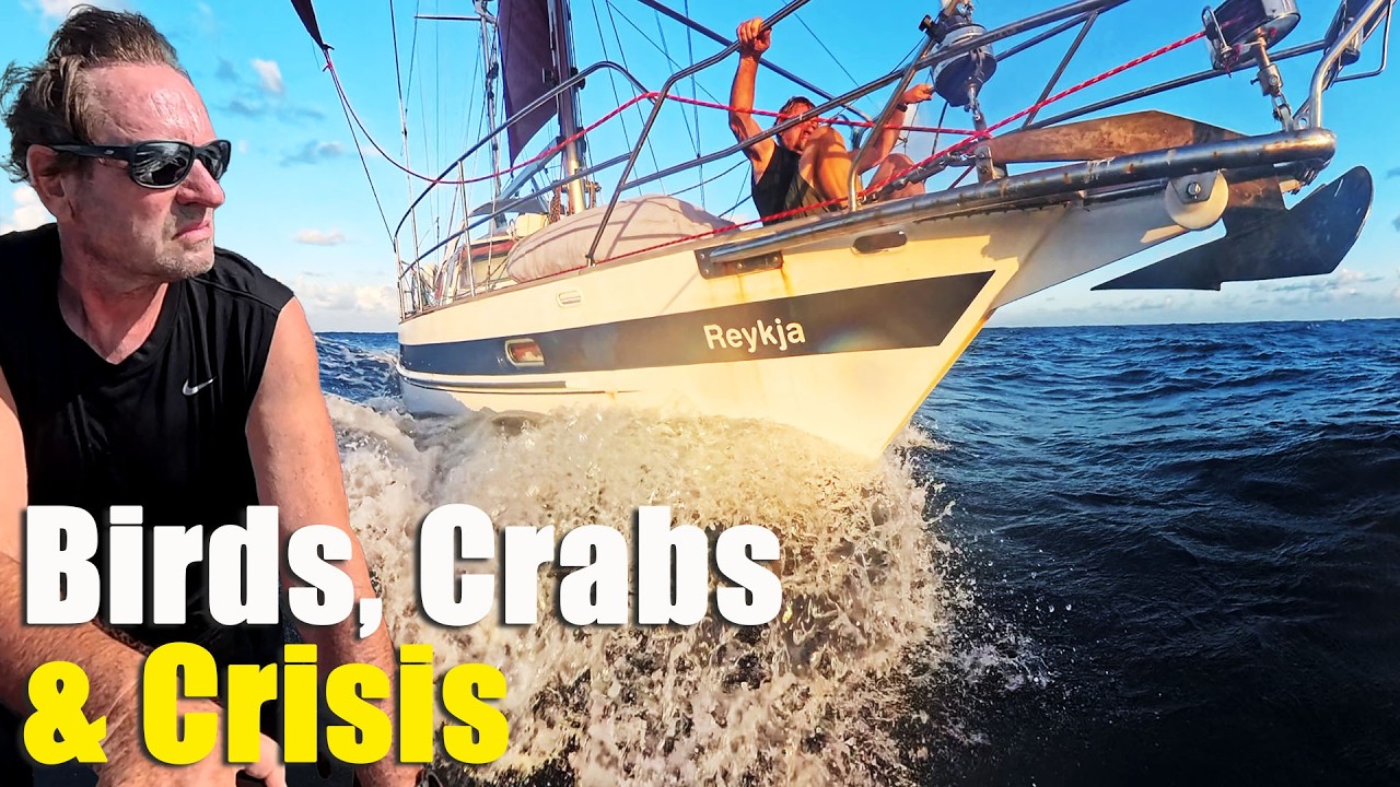 Birds, Crabs & Oil Pressure Crisis. Sailing 1500 Miles from Australia to Christmas Island