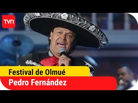 Pedro Fernández encantó a todo El Patagual | Festival del Huaso de Olmué