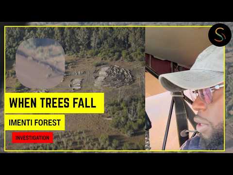 When Trees Fall: Inside the Battle Over Upper Imenti Forest