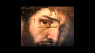 "Jesus Chorou" - João 11:35 | #JesusCristo #Cristianismo #shorts