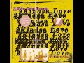 The Jon Spencer Blues Explosion - 2Kindsa Love