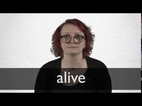 Alive 的简体中文translation 柯林斯英语 中文词典 Alive 的简体中文translation 柯林斯英语 中文词典