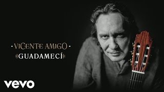 Video thumbnail of "Vicente Amigo - Guadamecí (Audio)"
