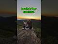 Loyalty Is Very Expensive Motivation Success Whatsappstatus Loyalty Love Expensive Love