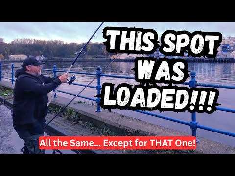 Walker Riverside - River Tyne - North East Sea Fishing