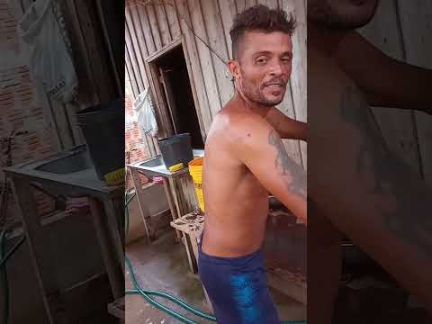 açaí da Bolívia tirador de senador Guiomard no acre