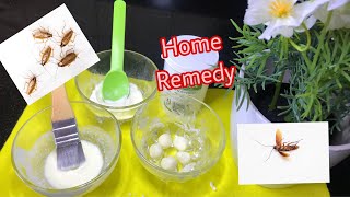 HOW TO GET RID OF COCKROACHES | HOME REMEDY |  with Tips | USE 3 THINGS | URDU/HINDI