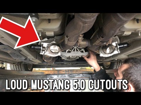 Loud Mustang Exhaust!! | 5.0 Coyote Cutouts