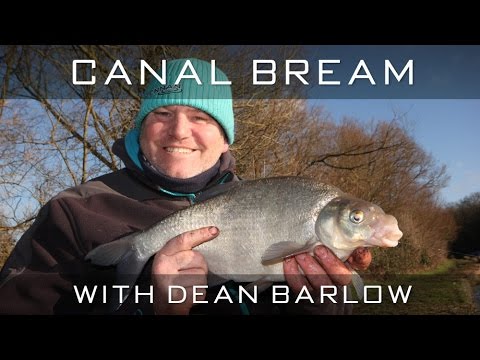 Canal Bream With Dean Barlow