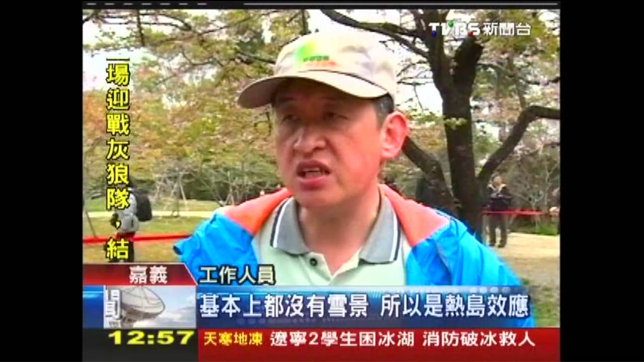 阿里山賞櫻交管 民怨強制搭接駁車