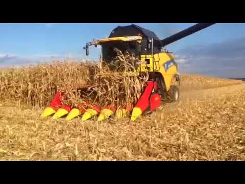Кукурузная жатка ZIEGLER в работе