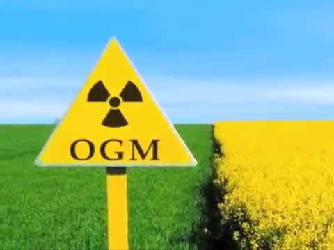 Giunto dito tagliato Può essere osteocondrosi vertigini