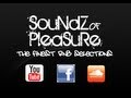 Veronica - Baby, I'm the one (Soundz Of Pleasure blend)