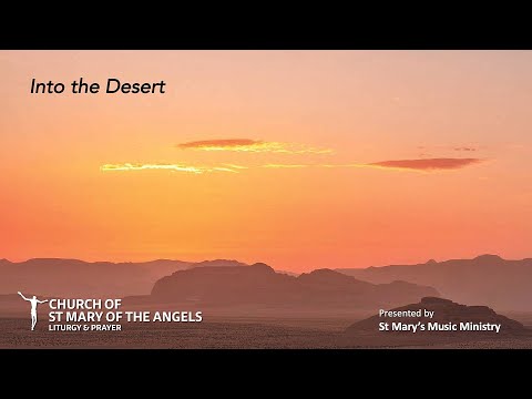 Into the Desert - Curtis Stephan; Sarah Hart