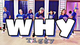 WHY - Tiggy | Dance Fitness | Zumba