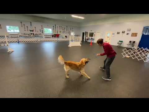 Holding mark cue for go-outs