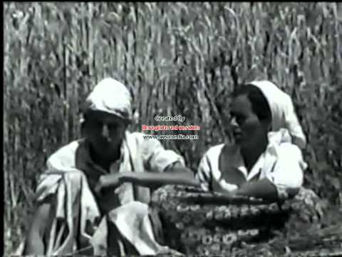 Suceska 1984 god - Opetci