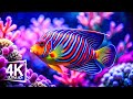 The Peculiar World Of Marine Reptiles Aquarium 4K VIDEO Discover The Serenity Of Sea Animals