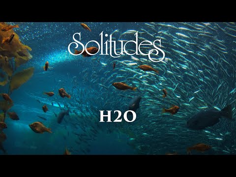 1 hour of Relaxing Music: Dan Gibson’s Solitudes - H2O (Full Album)