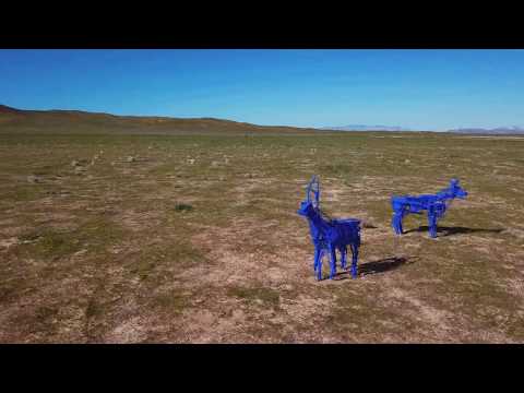 download lagu mp3 mp4 Blue Antelope, download lagu Blue Antelope gratis, unduh video klip Blue Antelope