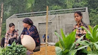 The house is almost complete - Uyen and the old lady harvest beans and sell them alone