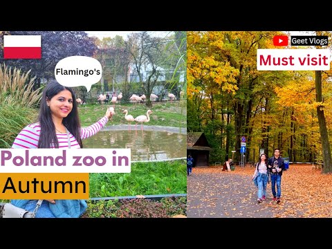 Krakow Zoo and Animals looks wonderful in Autumn | FAMILY DAY AT THE ZOO | POLAND VLOG #geetvlogs