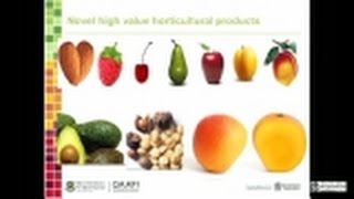 Genomics of Food Security - QAAFI Science Seminar - 10 Feb 2015