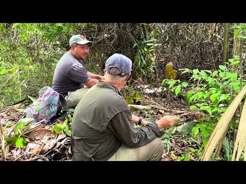 Things we learned while trail blazing