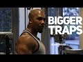 Best Exercises for Traps with Kelly Brown