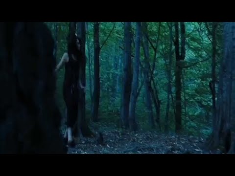 NAVARRO - DÉJÀ VU (OFFICIAL VIDEO)