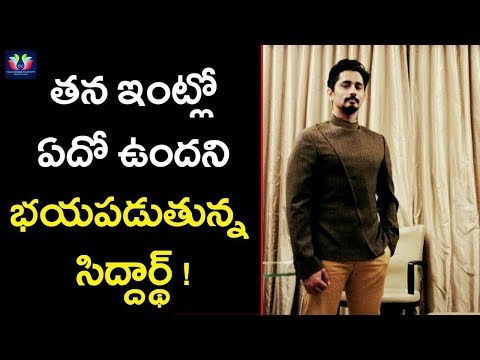 Siddharth Is Afraid That There Is Something In His House | Latest Gossips | TFC Film News