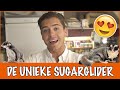 De sugarglider: eekhoorn of buideldier? | DierenpraatTV