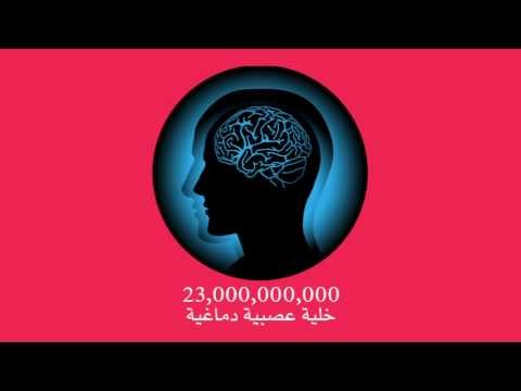 كوكتيل الألغاز ‎ Video