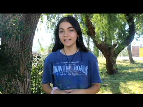 Las Tarzanas de El Perdido