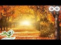 Wunderschöne Entspannungsmusik Romantische Musik Klaviermusik Geigenmusik Cellomusik Nr 93