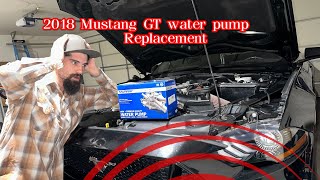 Step by Step Guide to Changing Water Pump and Coolant Hose O Rings on 2018 Mustang GT 5.0L!