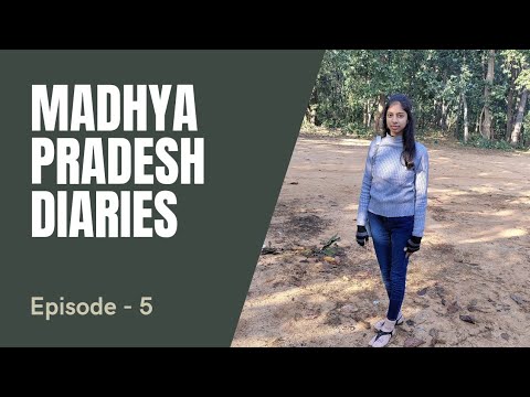 Jungle safari | Vidushi Jain