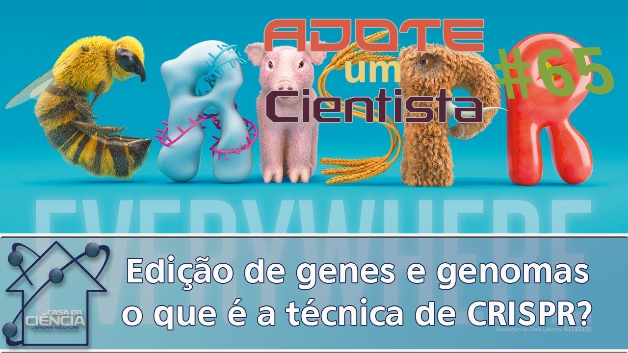 Edição de genes e genomas o que é a técnica de CRISPR?