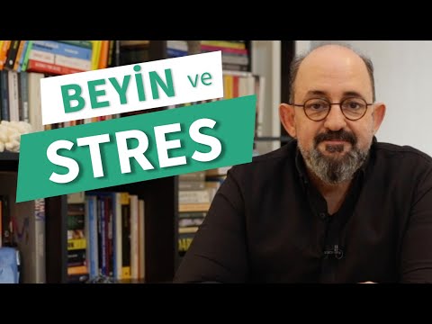 İnsanın Fabrika Ayarları: Stres | Sinan Canan Resim