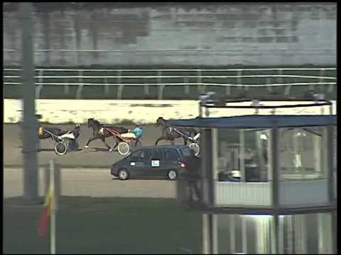 Trotto 22/01/2015 - 5° Corsa