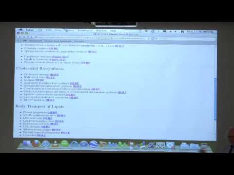 Kevin Ahern's Bite-Sized Biochemistry #35 - Fat, Lipid & Cholesterol Movement in the Body