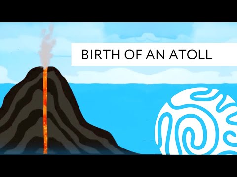 Birth of an Atoll