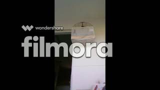 CRIADOURO BARCELONA - Pardo Coringa 338