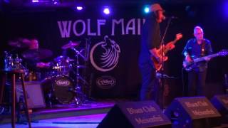 Wolf Mail@Meisenfrei Bremen-Germany 25.10.2016-hello