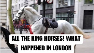 ALL THE KINGS HORSES .. WHAT HAPPENED IN LONDON TODAY #royal #royalfamily #army