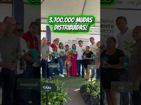 Plantando um pé de tamarindo aqui em Flores do Piauí dentro do nosso programa ProVerde Piauí. 🌱