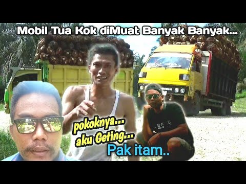 Beginilah perjuangan pak itam... demi mencari sesuap nasi||sikampung kesiangan...