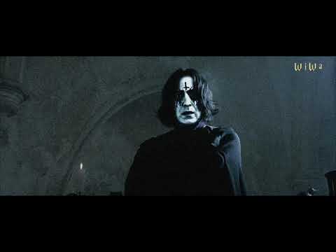 Die schwarzen untoten blutgetränkten Waschlappen - Friedhof [WiWa Music Video] (HD)