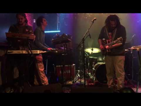 Teddy Midnight at the hollow 2017